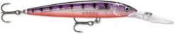 Rapala Down Deep Husky Jerk 10 Deep Diving Jerkbait -Rapala Store 12564593639479