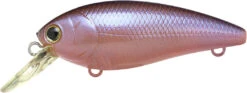Lucky Craft Moonsault CB-100 Shallow Diving Crankbait