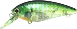 Lucky Craft Moonsault CB-100 Shallow Diving Crankbait -Rapala Store 13025143095351