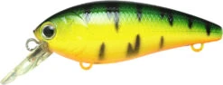 Lucky Craft Moonsault CB-100 Shallow Diving Crankbait -Rapala Store 13025143128119