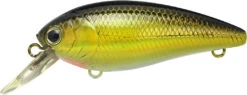 Lucky Craft Moonsault CB-100 Shallow Diving Crankbait -Rapala Store 13025143160887