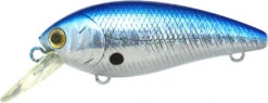 Lucky Craft Moonsault CB-100 Shallow Diving Crankbait -Rapala Store 13025143455799