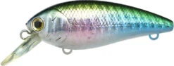 Lucky Craft Moonsault CB-100 Shallow Diving Crankbait -Rapala Store 13025143488567