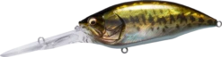 Megabass Big-M 7.5 Magnum Extra Deep Diving Crankbait 23 Megabass Big-M 7.5 Magnum Extra Deep Diving Crankbait -Rapala Store 14412823658551