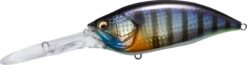 Megabass Big-M 7.5 Magnum Extra Deep Diving Crankbait 24 Megabass Big-M 7.5 Magnum Extra Deep Diving Crankbait -Rapala Store 14412823724087