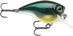 Rapala BX Big Brat 2 3/4 Inch Square Bill Crankbait -Rapala Store 31321538429017