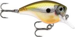 Rapala BX Big Brat 2 3/4 Inch Square Bill Crankbait -Rapala Store 31321538560089