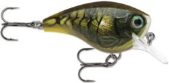 Rapala BX Big Brat 2 3/4 Inch Square Bill Crankbait -Rapala Store 31321538658393