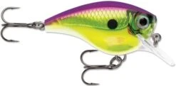 Rapala BX Big Brat 2 3/4 Inch Square Bill Crankbait -Rapala Store 31321538723929