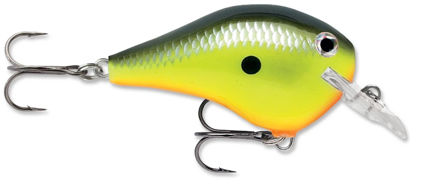 Rapala DT Fat 03 Shallow Square Bill Crankbait 2 Rapala DT Fat 03 Shallow Square Bill Crankbait - Image 2
