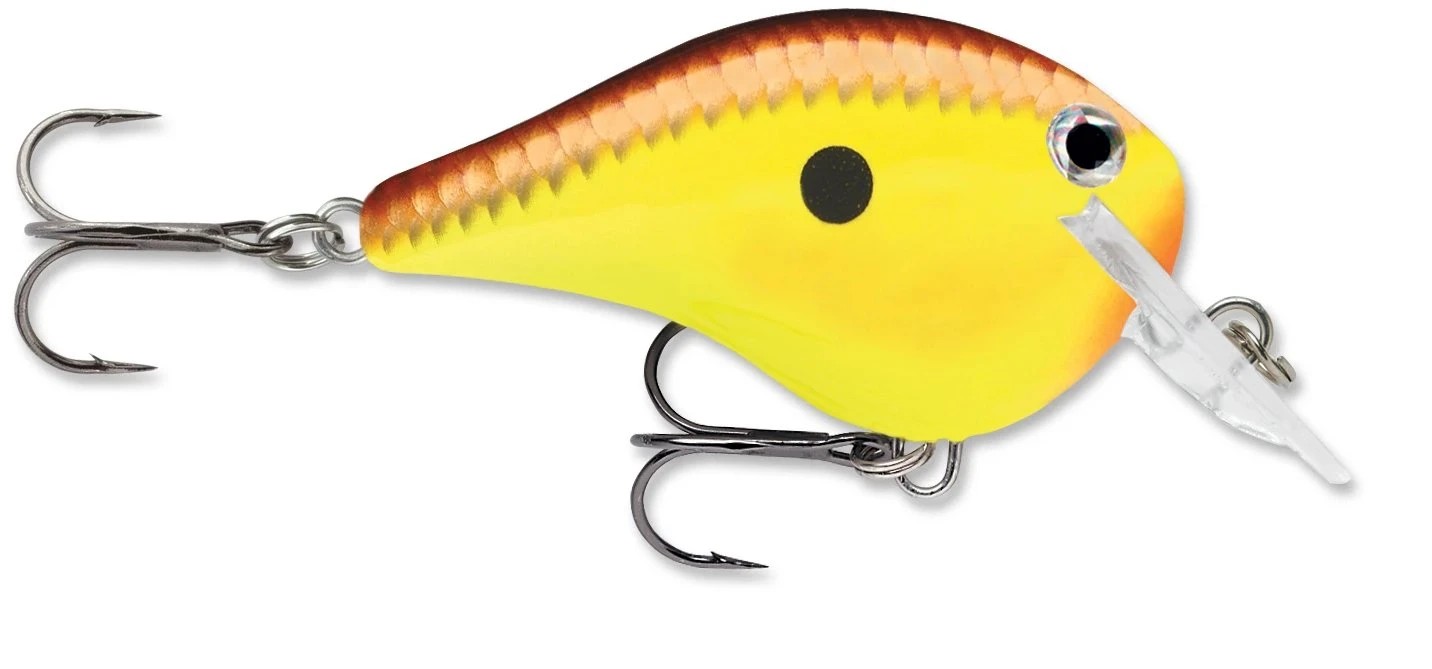 Rapala DT Fat 03 Shallow Square Bill Crankbait 5 Rapala DT Fat 03 Shallow Square Bill Crankbait - Image 5