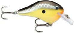Rapala DT Fat 03 Shallow Square Bill Crankbait 13 Rapala DT Fat 03 Shallow Square Bill Crankbait -Rapala Store 31333941280857 scaled