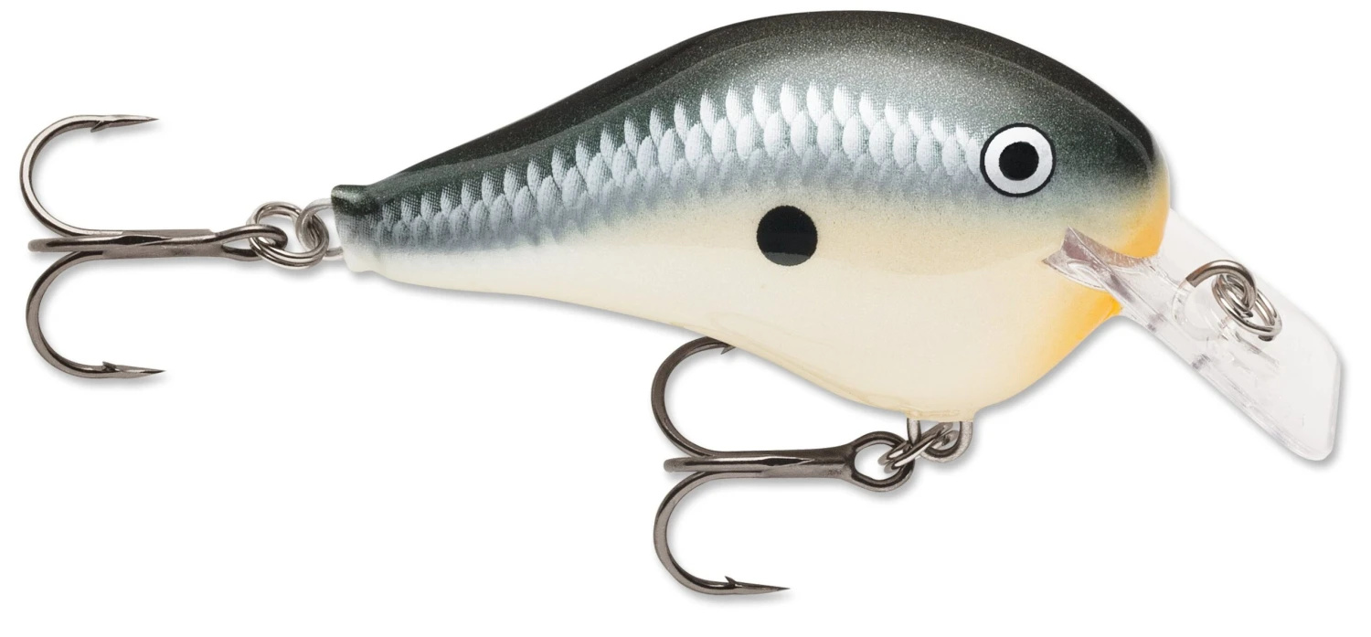 Rapala DT Fat 03 Shallow Square Bill Crankbait 7 Rapala DT Fat 03 Shallow Square Bill Crankbait - Image 7