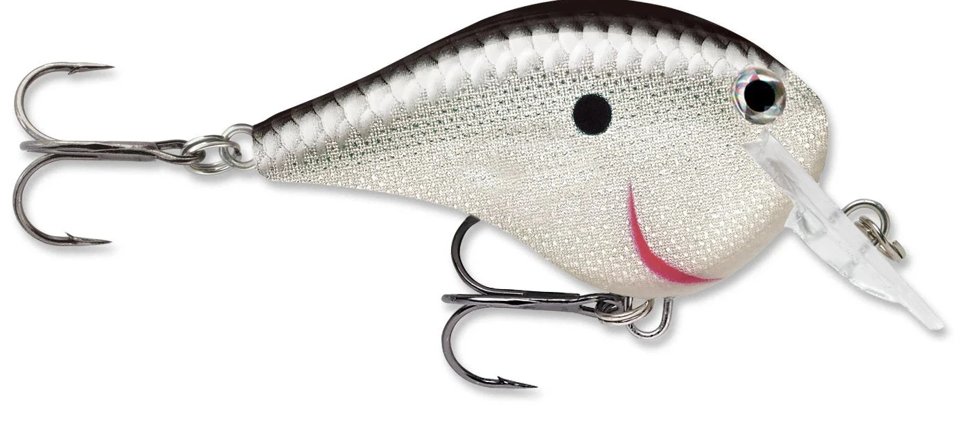 Rapala DT Fat 03 Shallow Square Bill Crankbait 1 Rapala DT Fat 03 Shallow Square Bill Crankbait