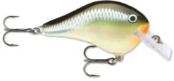 Rapala DT Fat 03 Shallow Square Bill Crankbait 15 Rapala DT Fat 03 Shallow Square Bill Crankbait -Rapala Store 31333941379161 scaled