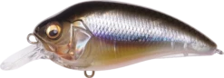 Megabass Super-Z Z-1 Medium Diving Crankbait -Rapala Store 31680779124825