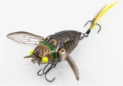 Chasebaits Ripple Cicada 1 3/4 Inch Wakebait Crawler