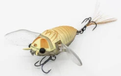 Chasebaits Ripple Cicada 1 3/4 Inch Wakebait Crawler 9 Chasebaits Ripple Cicada 1 3/4 Inch Wakebait Crawler -Rapala Store 32233146843225