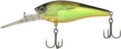 New Release -Rapala Store 40022140452953