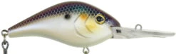 Berkley Dredger Deep Diving Crankbait Deeper Diving Models 30 Berkley Dredger Deep Diving Crankbait Deeper Diving Models -Rapala Store 40325002985561