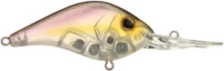 Berkley Dredger Deep Diving Crankbait Deeper Diving Models 35 Berkley Dredger Deep Diving Crankbait Deeper Diving Models -Rapala Store 40325003182169