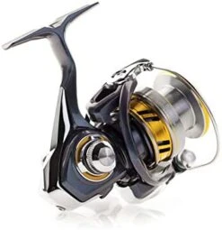 Daiwa Regal LT Spinning Reel -Rapala Store 418E3HhhrIL. AC