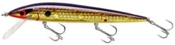 Smithwick Elite 8 Rogue 4 1/2 Inch Suspending Jerkbait 17 Smithwick Elite 8 Rogue 4 1/2 Inch Suspending Jerkbait -Rapala Store ADR4213 427dcaa6 8bc9 4645 9527 5e6203b63ad1