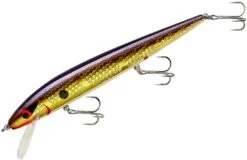 Smithwick Perfect 10 Rogue 5 1/2 Inch Deep Diving Suspending Jerkbait -Rapala Store ADR5213