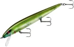 Smithwick Perfect 10 Rogue 5 1/2 Inch Deep Diving Suspending Jerkbait -Rapala Store ADR5281