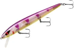 Smithwick Perfect 10 Rogue 5 1/2 Inch Deep Diving Suspending Jerkbait -Rapala Store ADR5289