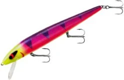 Smithwick Perfect 10 Rogue 5 1/2 Inch Deep Diving Suspending Jerkbait -Rapala Store ADR5291