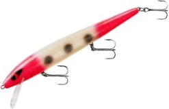 Smithwick Perfect 10 Rogue 5 1/2 Inch Deep Diving Suspending Jerkbait -Rapala Store ADR5293