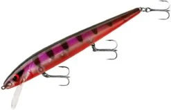 Smithwick Perfect 10 Rogue 5 1/2 Inch Deep Diving Suspending Jerkbait -Rapala Store ADR5294