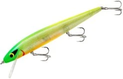 Smithwick Perfect 10 Rogue 5 1/2 Inch Deep Diving Suspending Jerkbait -Rapala Store ADR5295