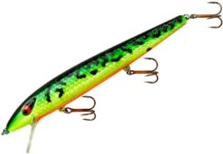 Smithwick Suspending Super Rogue 5 Inch Jerkbait -Rapala Store ASDRD1207