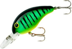 Bandit 200 Series Medium Diving Crankbait -Rapala Store BDT220