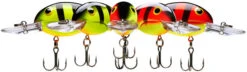 Bandit 200 Series Medium Diving Crankbait -Rapala Store BDT258