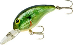 Bandit 200 Series Medium Diving Crankbait -Rapala Store BDT2B38