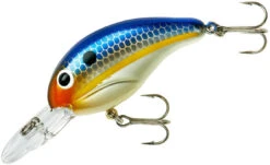 Bandit 200 Series Medium Diving Crankbait -Rapala Store BDT2D62