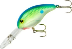 Bandit 300 Series Deep Diving Crankbait -Rapala Store BDT3D01