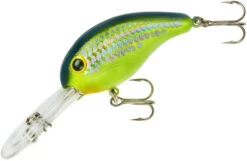 Bandit 300 Series Deep Diving Crankbait -Rapala Store BDT3D66