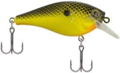 Berkley SquareBull 2 3/8 Inch Shallow Squarebill Crankbait -Rapala Store Berkley SquareBull Black Chartreuse 2017 alt2 2000