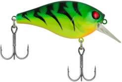Berkley SquareBull 2 3/8 Inch Shallow Squarebill Crankbait -Rapala Store Berkley SquareBull Firetiger 2018 alt2 2000