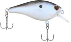 Berkley SquareBull 2 3/8 Inch Shallow Squarebill Crankbait -Rapala Store Berkley Squarebull BlueShad 55 alt2 2000