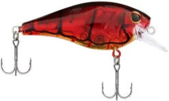 Berkley SquareBull 2 3/8 Inch Shallow Squarebill Crankbait -Rapala Store Berkley Squarebull GhostRedCraw 35 alt2 2000