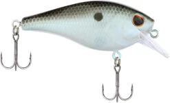 Berkley SquareBull 2 3/8 Inch Shallow Squarebill Crankbait -Rapala Store Berkley Squarebull GreenShad 35 alt2 2000