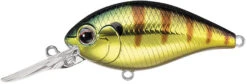Evergreen International CR-10 Deep Diving Crankbait -Rapala Store Evergreen CR 374 4758f032 87af 441f aa03 66689be41d14