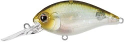 Evergreen International CR-10 Deep Diving Crankbait -Rapala Store Evergreen CR 420 5203f195 bbca 4378 b397 b08b3a4195de