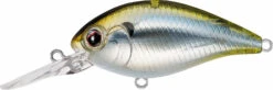 Evergreen International CR-10 Deep Diving Crankbait -Rapala Store Evergreen CR 426 TIF