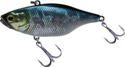 Jackall TN 50/60/70 Lipless Crankbait -Rapala Store FishJackall TN HL AURORA BLACK primary